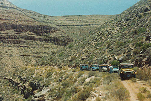 Land cruisers on parade